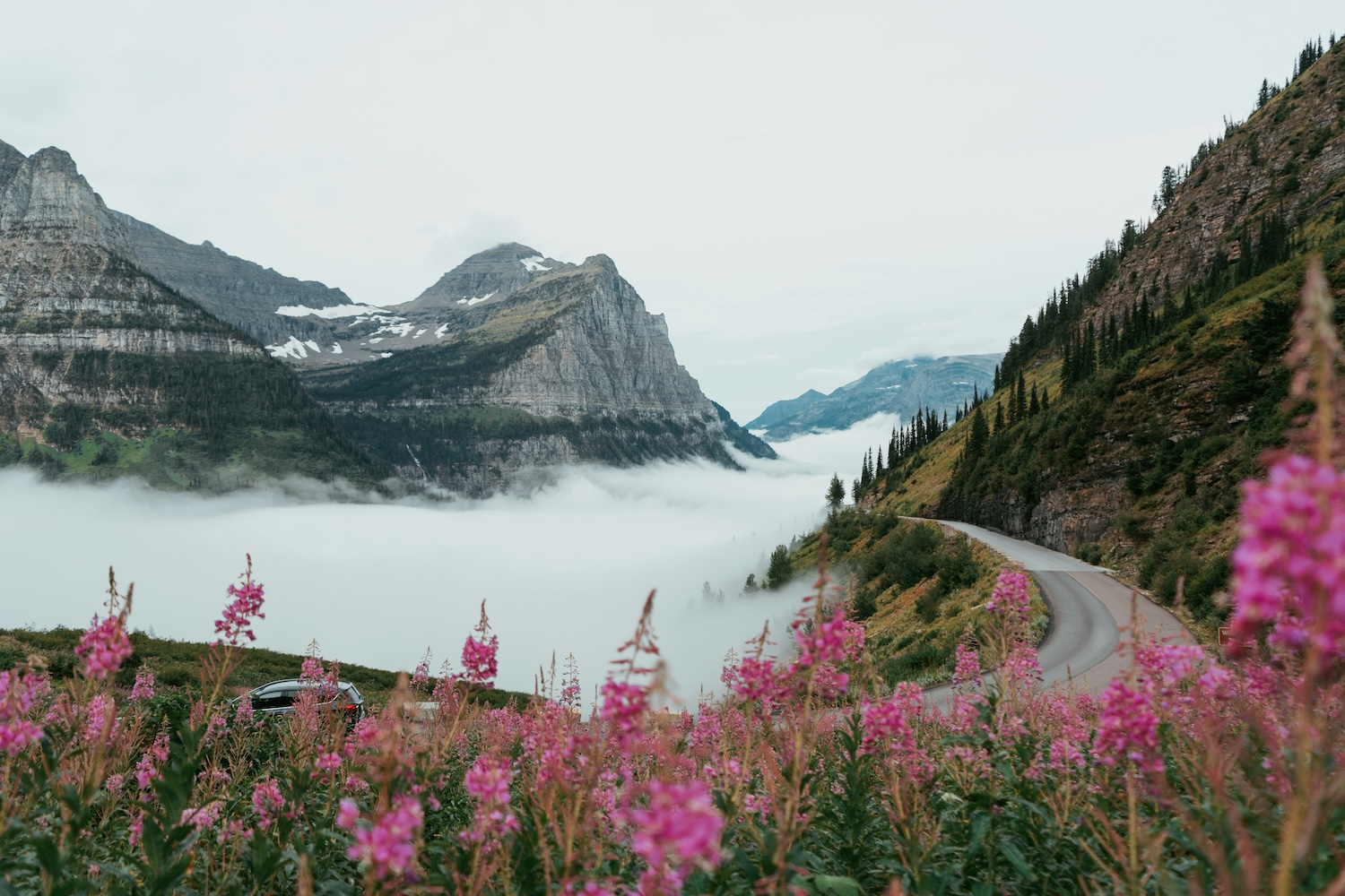 Tips & Tricks for Biking Going-to-the-Sun Road in Glacier National Park
