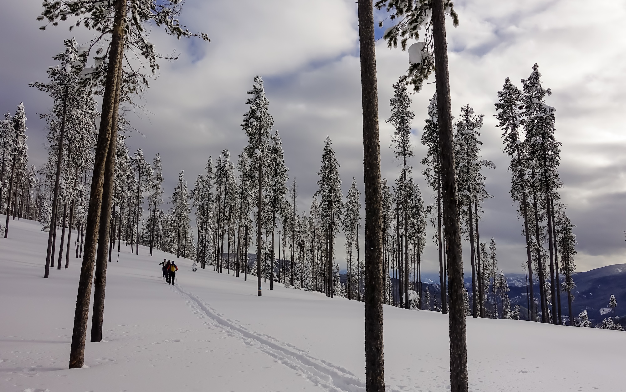 top 5 winter activites in whitefish, montana - cross country skiing