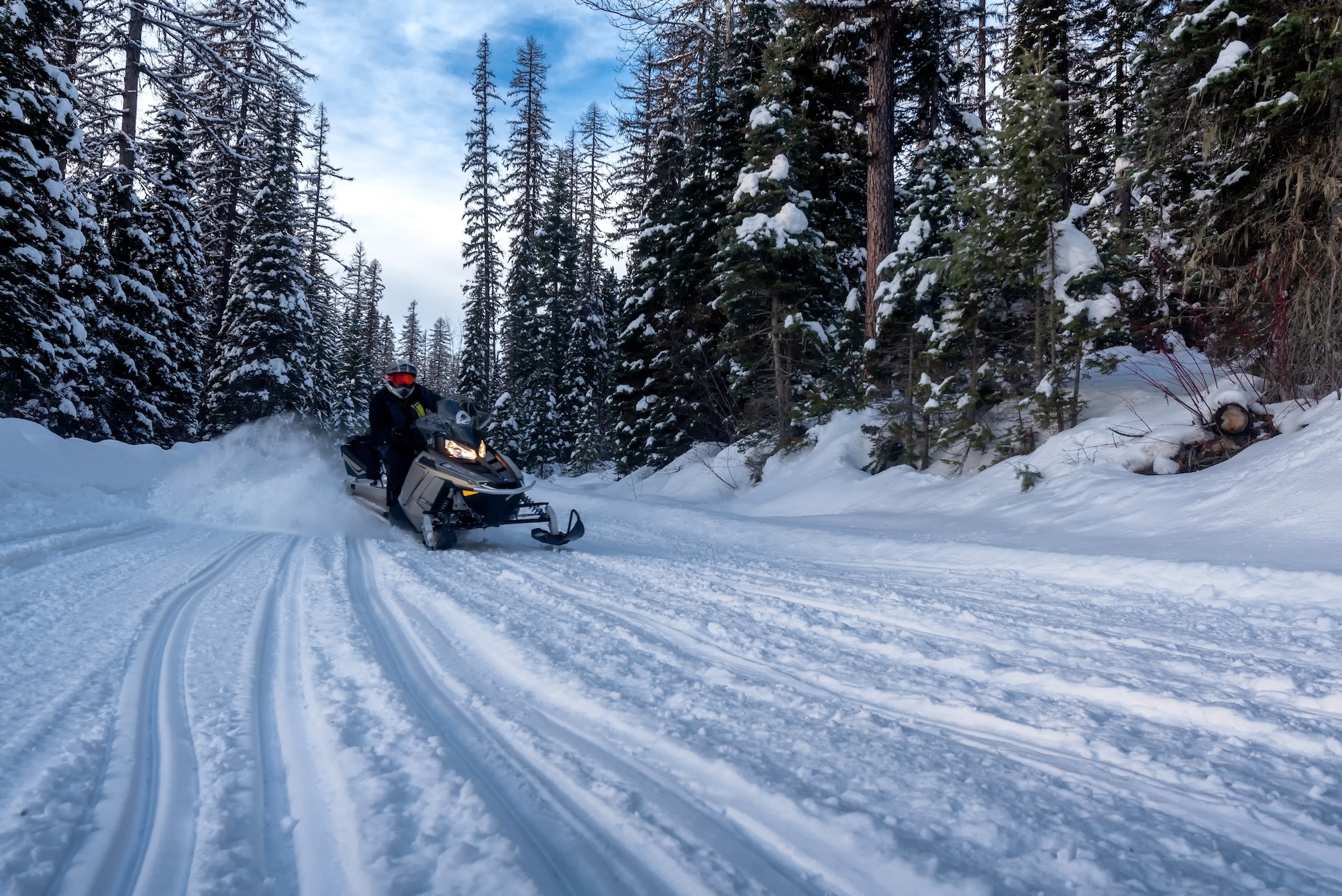 best winter activities whitefish, montana